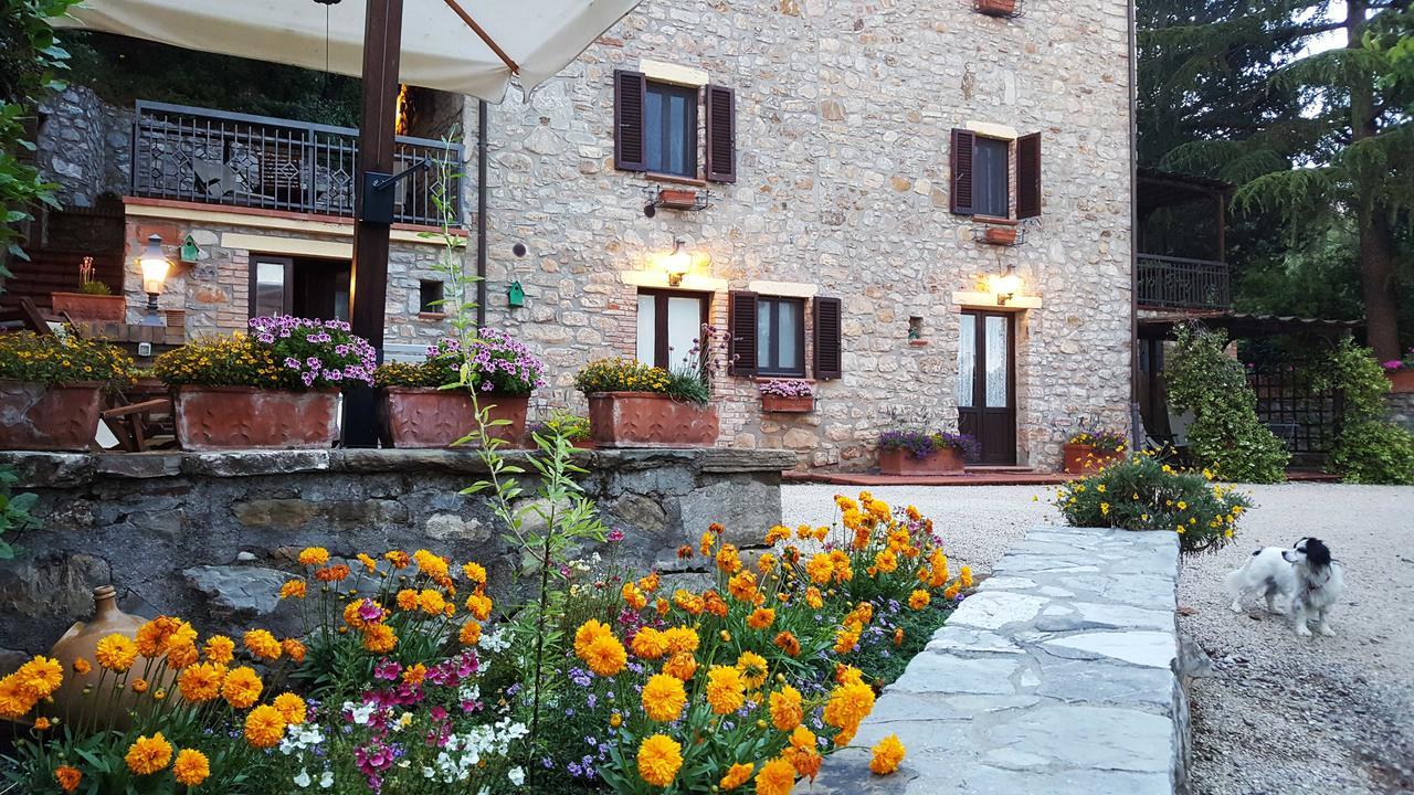 Гостевой дом Il Poggiolo Di Parrano Экстерьер фото