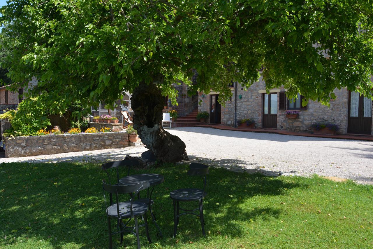 Гостевой дом Il Poggiolo Di Parrano Экстерьер фото